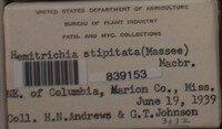 Image Associated With the Occurence